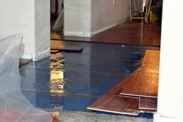 Professional Water Damage Restoration technician working in Kinsman, IL